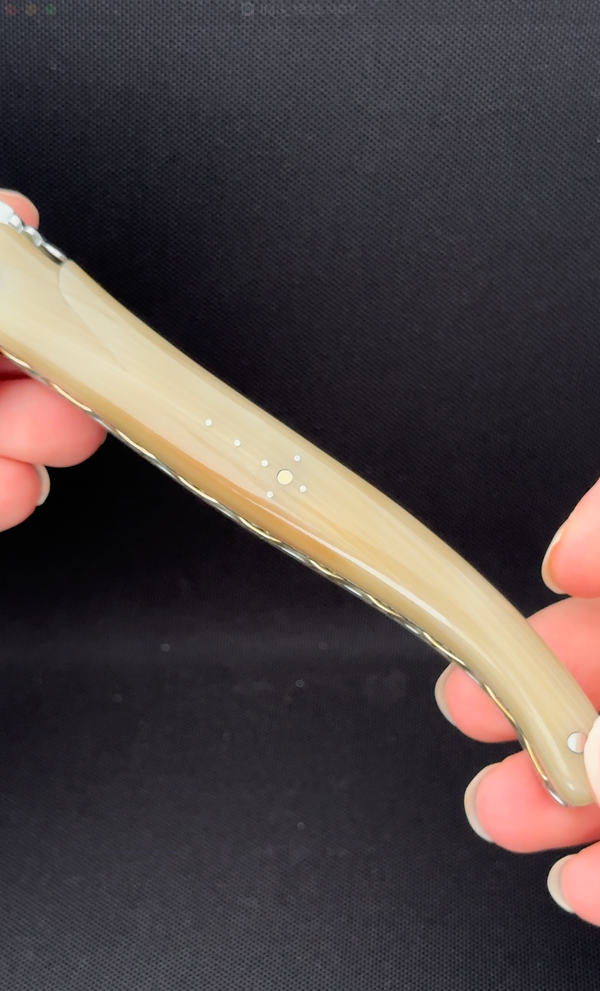 Folding Knife Light Horn Handle with Double Plates Chiseled Top and Down