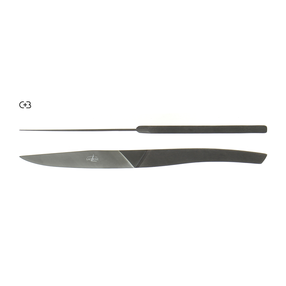 Table knives Stainless Steel Monobloc handle AIGUDA Black