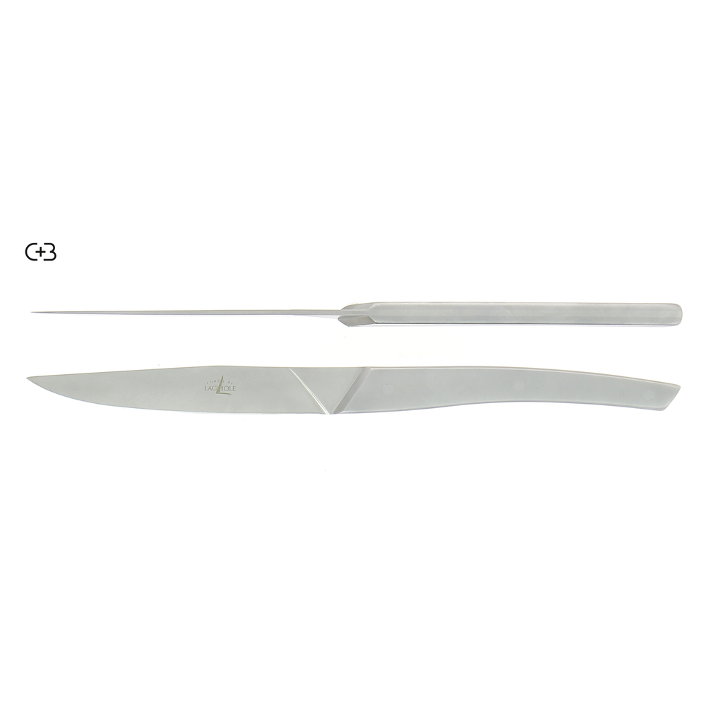 Table knives Stainless Steel Monobloc handle AIGUDA