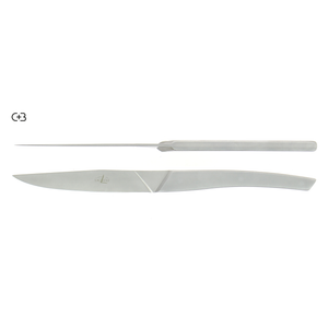 Table knives Stainless Steel Monobloc handle AIGUDA