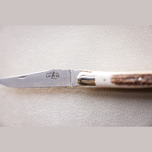 Folding Knife Deer Antler - Damascus Steel Blade