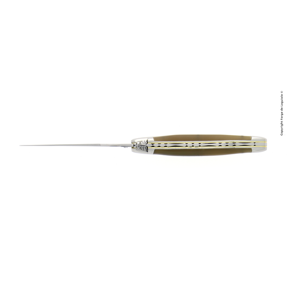 Folding Knife Light Horn Handle and 'Source' Spring