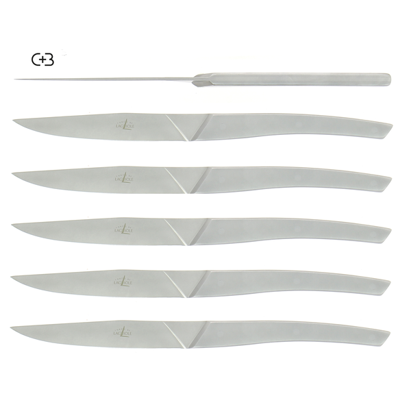 Table knives Stainless Steel Monobloc handle AIGUDA