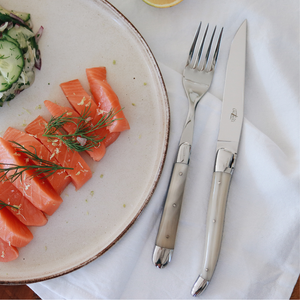 Cutlery Set of 24 Opalescence Acrylic Handle