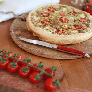 Cutlery Set of 24 Red Compressed Fabric Handle