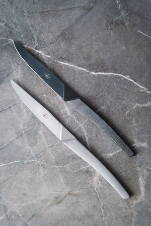 Table knives Stainless Steel Monobloc handle AIGUDA