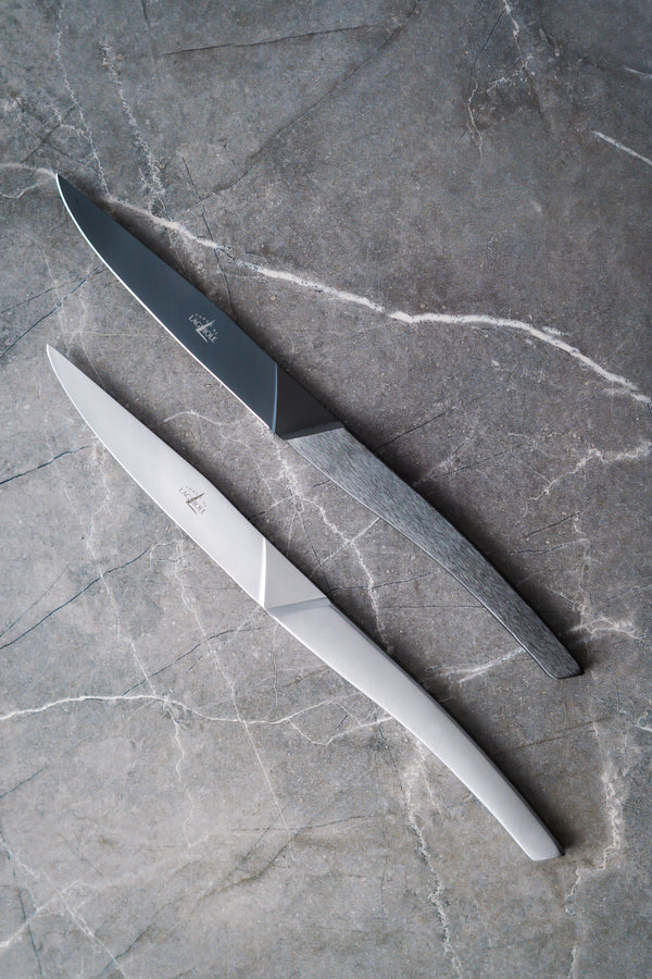Table knives Stainless Steel Monobloc handle AIGUDA