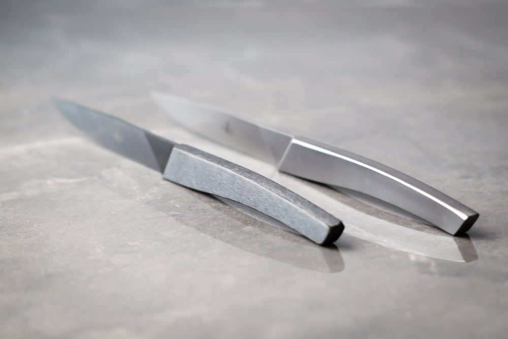 Table knives Stainless Steel Monobloc handle AIGUDA Black