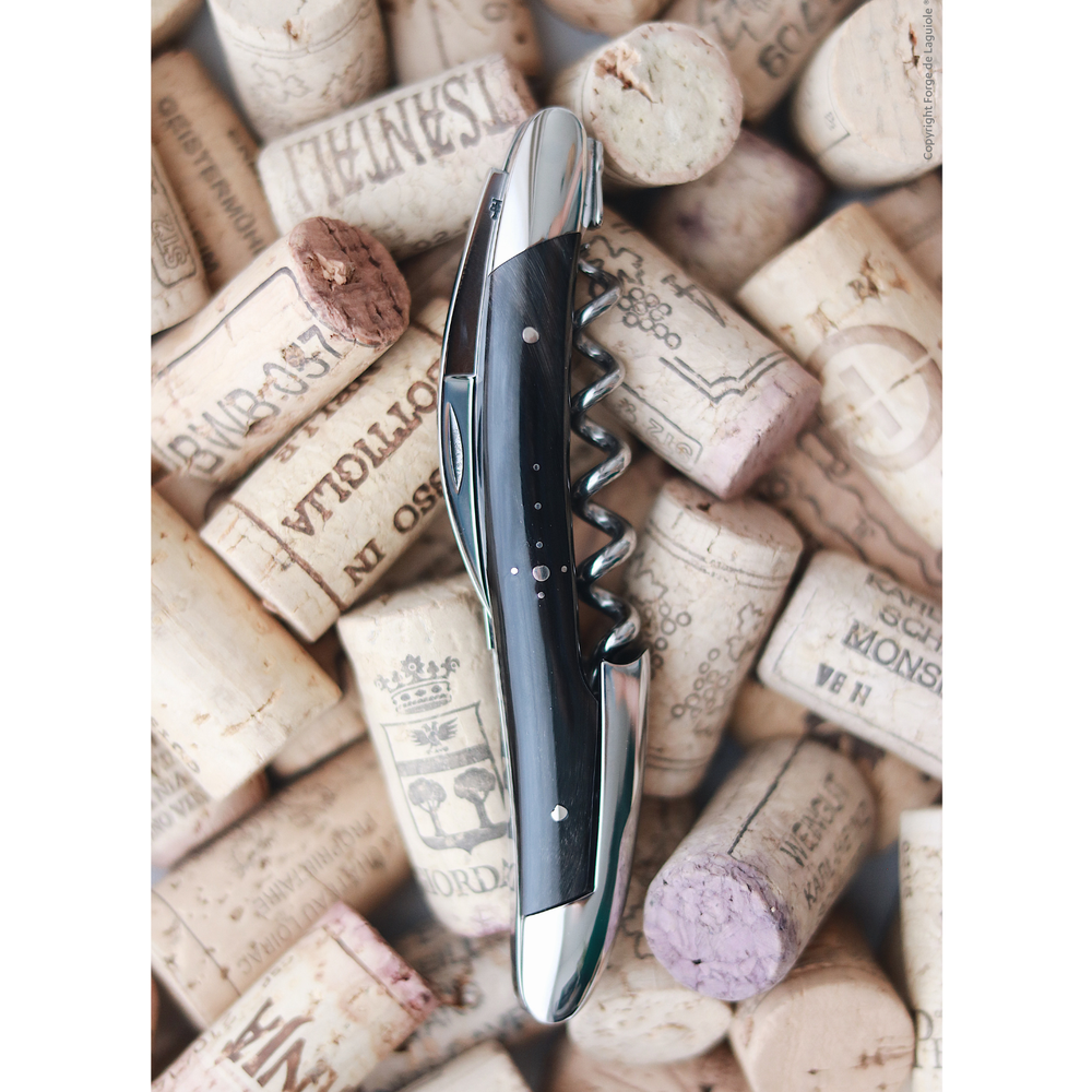 Duo Gift Set - Dark Horn - Corkscrew and 12cm Folding Knife