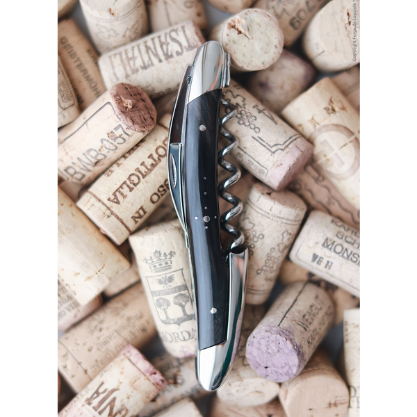 Duo Gift Set - Dark Horn - Corkscrew and 12cm Folding Knife