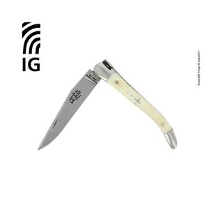 Folding Knife Bone Handle and Stainless Steel Bolsters - IG (Indication Géographique)