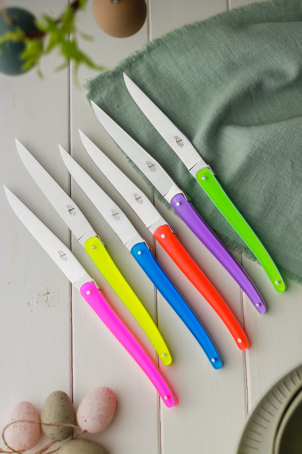 Table knives Mixed Colours Acrylic handle "Wilmotte" Designed by Wilmotte